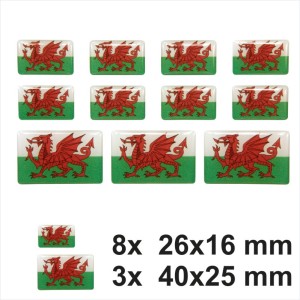 Set of 11 3D Wales Welsh Dragon Flag Stickers Decal Gloss Domed GEL Resin Badge