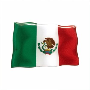 1x Flag of Mexico Mexicanos 3D Domed Gel STICKER Resin Decal Badge 75 x 50mm
