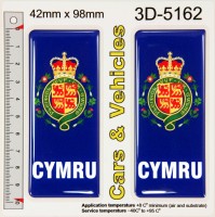 2x 42 x 98 mm Wales Number Plate Sticker Decal Badge Cymru Coat of Arms 3d Resin Gel Domed