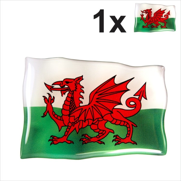 CYM Welsh Dragon Cymru Welsh flag 3D Domed Gel STICKER Resin Decal Badge Emblem