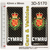 2x 42 x 98 mm CARBON CYMRU Coat of Arms Number Plate 3D Stickers Decals Badges Resin Domed