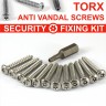 13 Piece Number plate security stainless steel screws KIT 12 SCREWS and TORX BIT - 13 Piece Number plate security stainless steel screws KIT 12 SCREWS and TORX BIT