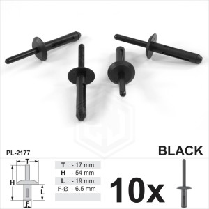 6.5mm Hole Clips Bumper Trim Panel Fastener Rivet Black Plastic for Ford